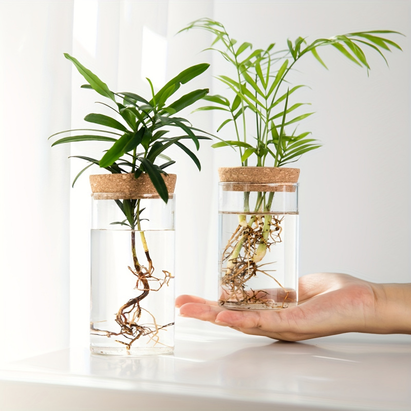 1pc, Hydroponics Plants Deskto - Propagation Station Vase review and price