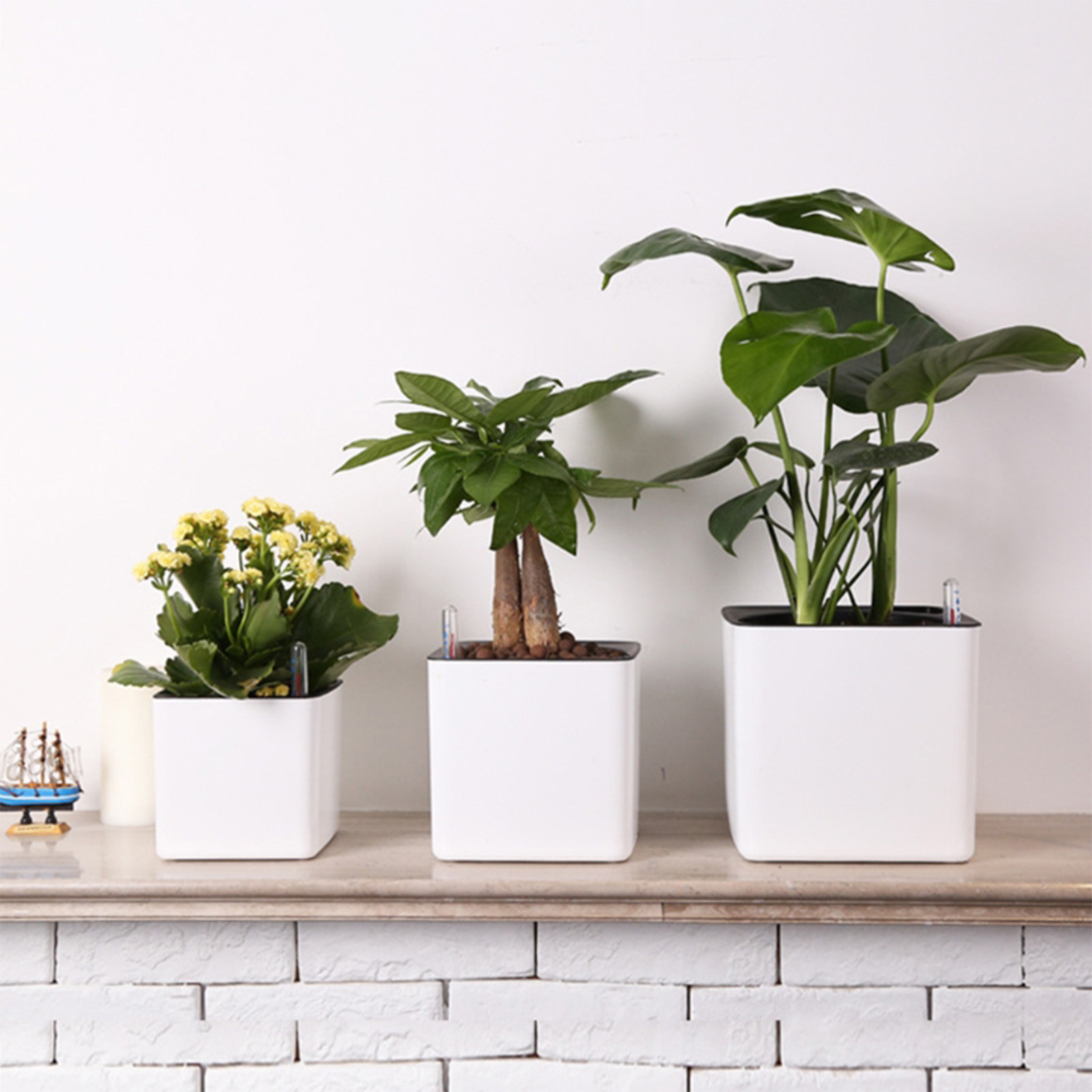 Automatic Self Watering Flower - Self Watering Insert review and price