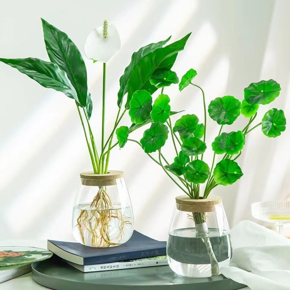 Transparent Hydroponic Flowerp - Propagation Station Vase review and price