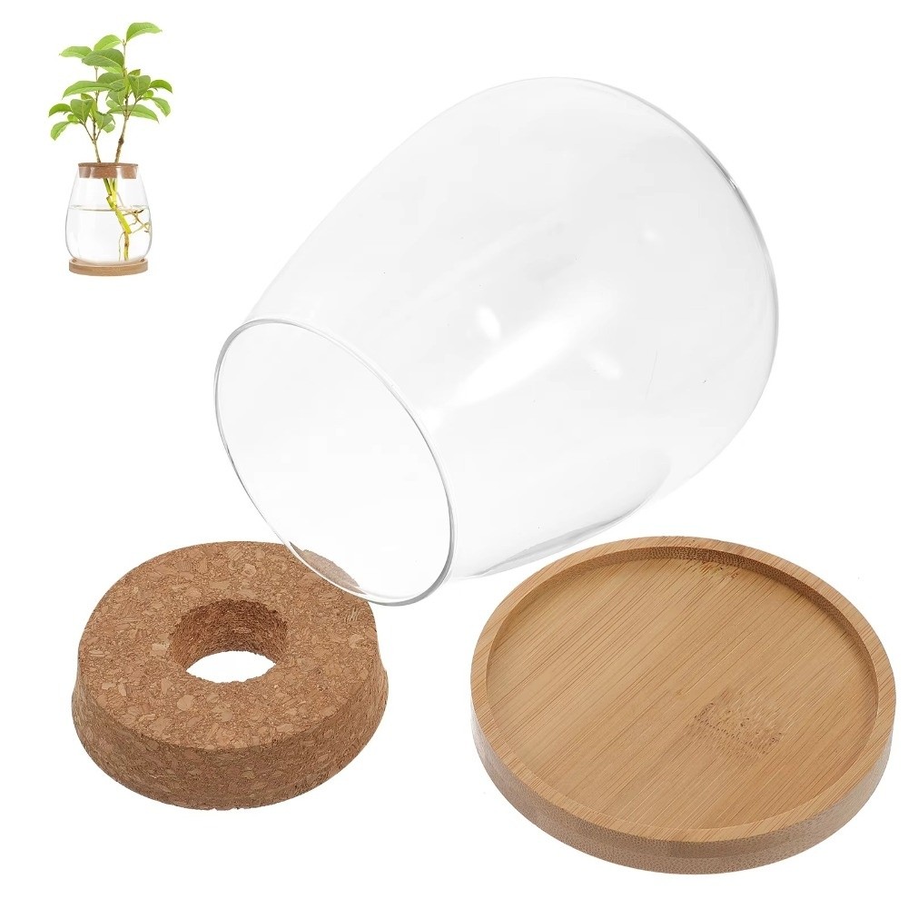 Transparent Hydroponic Flowerp - Propagation Station Vase review and price