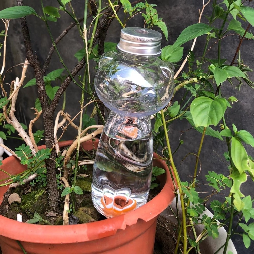 Self Watering Watering Planter - Self Watering Insert review and price