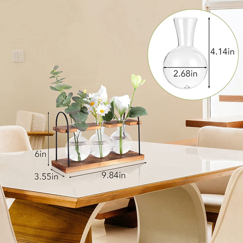 Plant Propagation Station with - Propagation Station Vase review and price