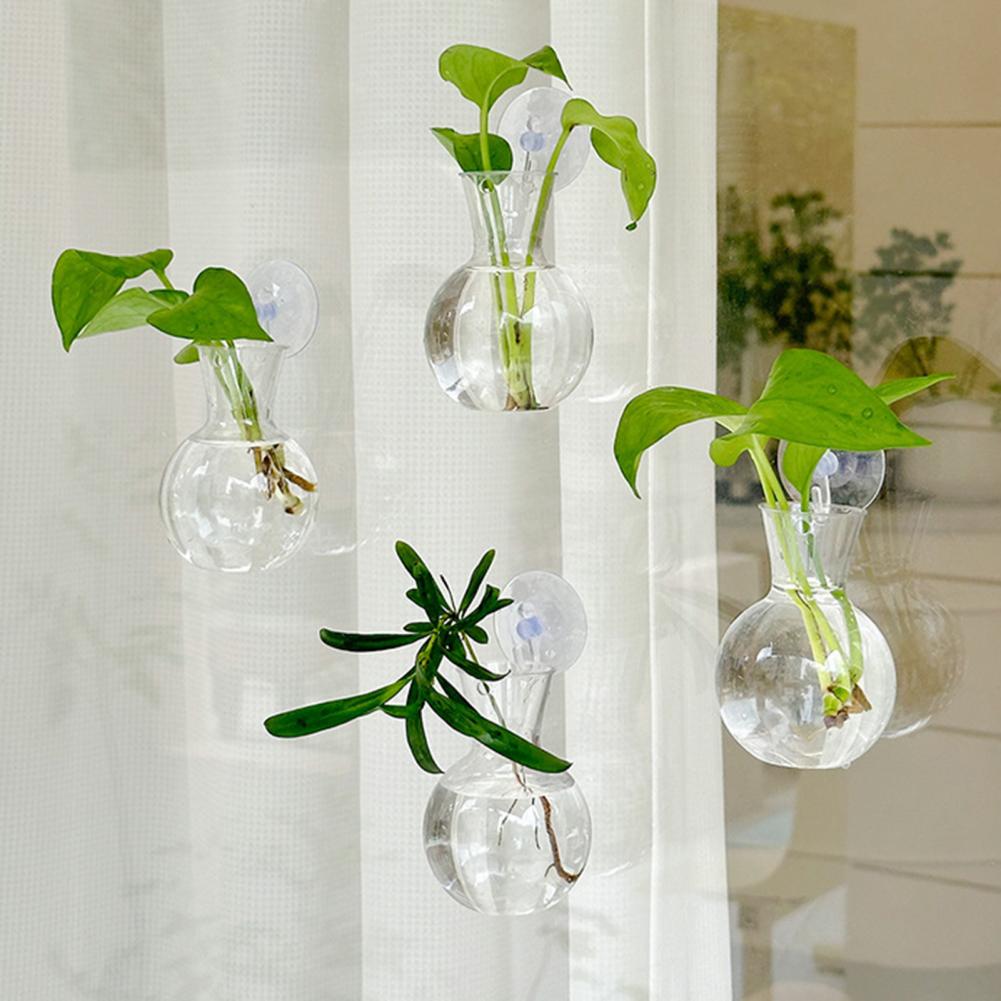 1/2/3/4/6/8Pcs Plant Propagati - Propagation Station Vase review and price