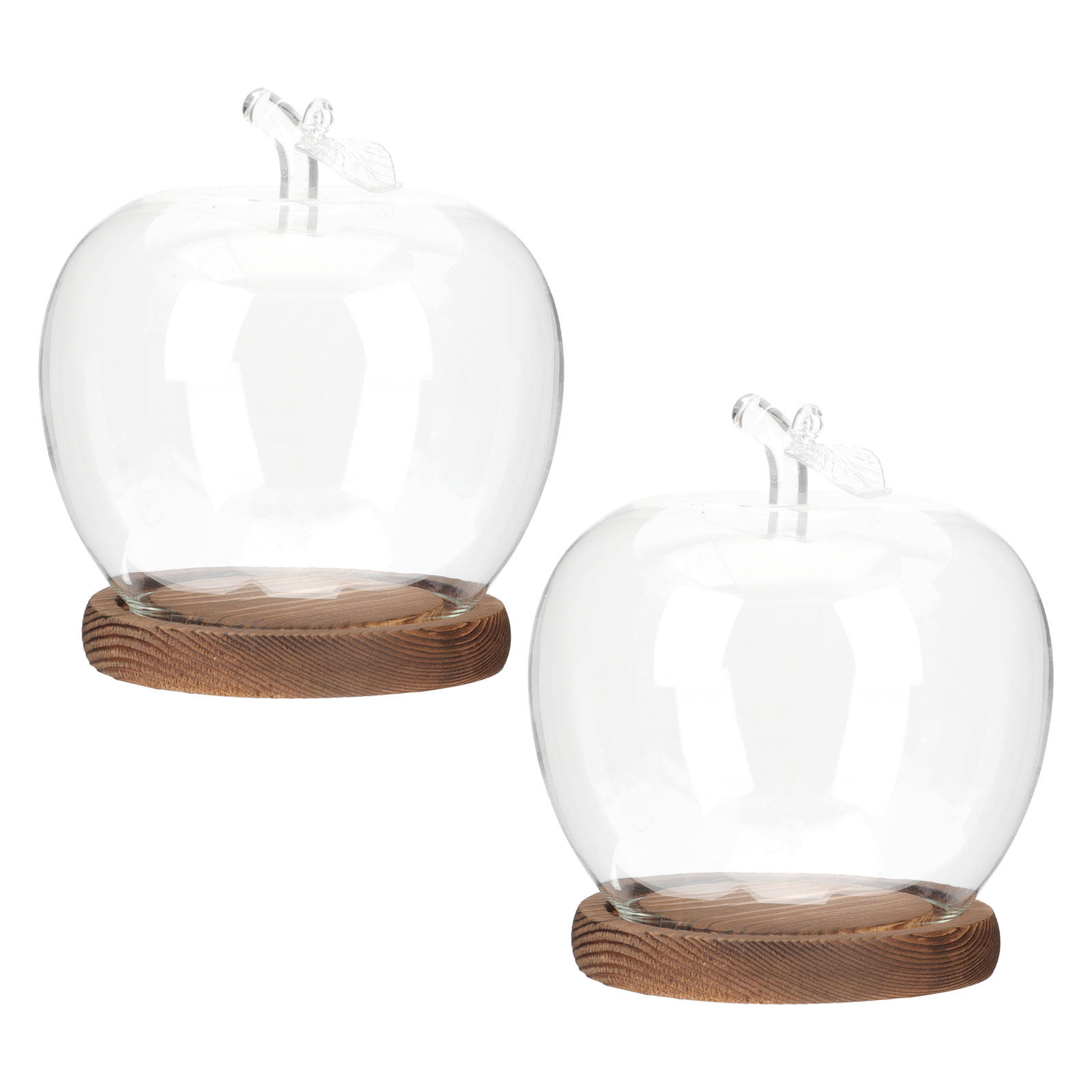 2Pcs Glass Cloche Dome with Wo - Plastic Dome Clear review and price